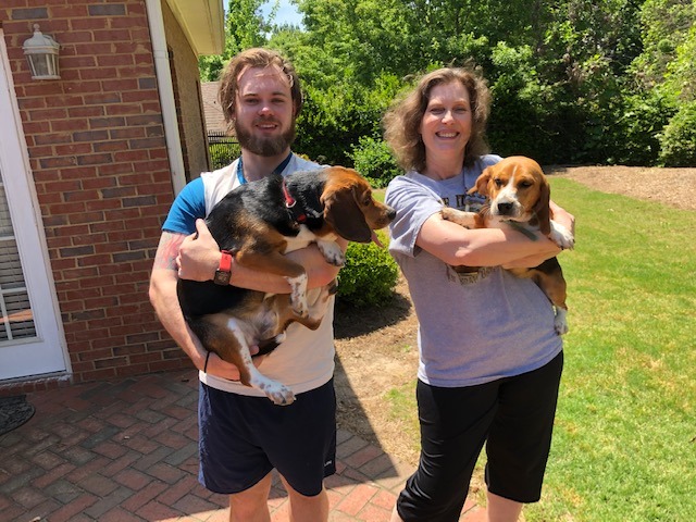The family Beagles