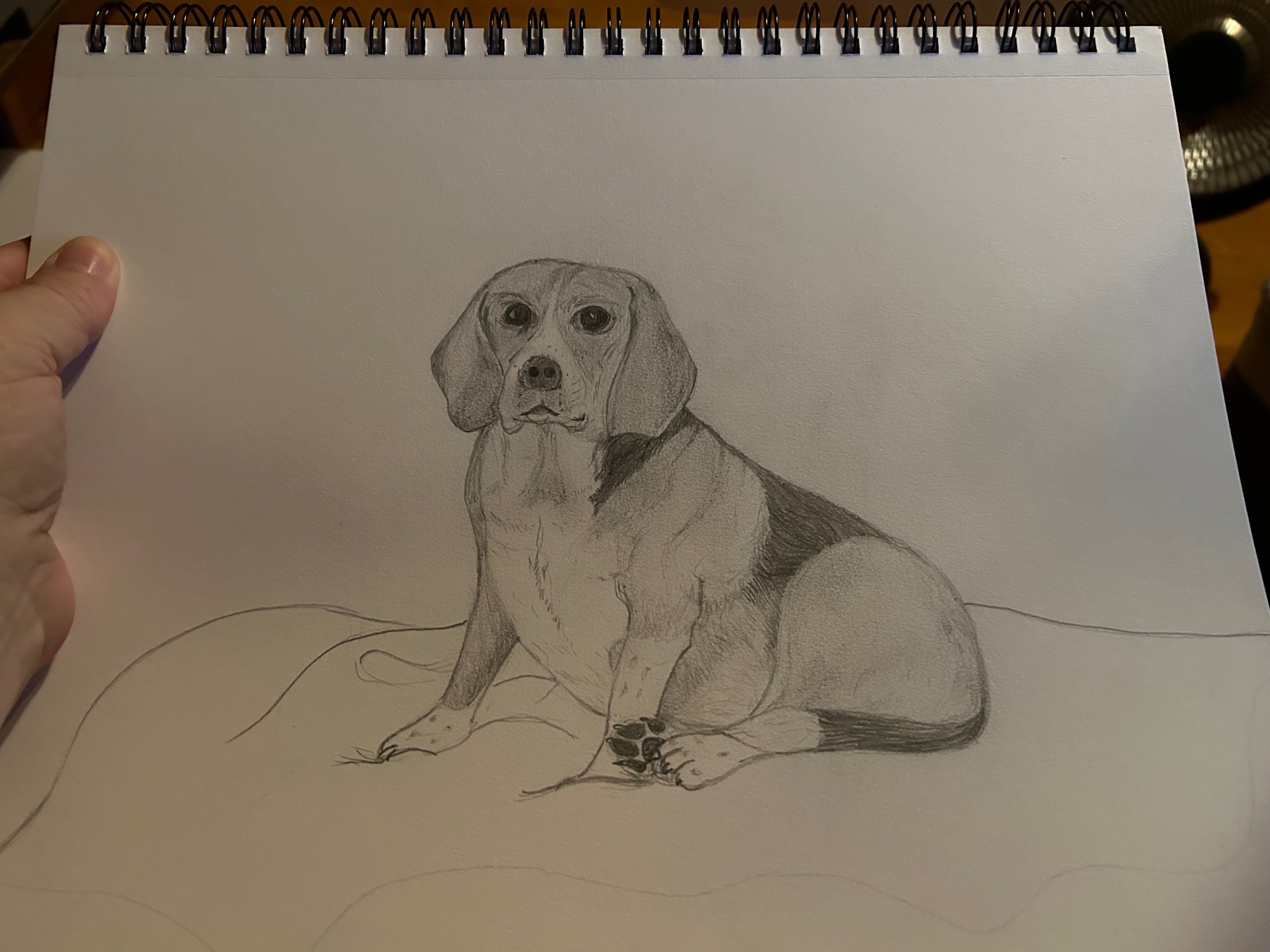 I sketched our beagle!