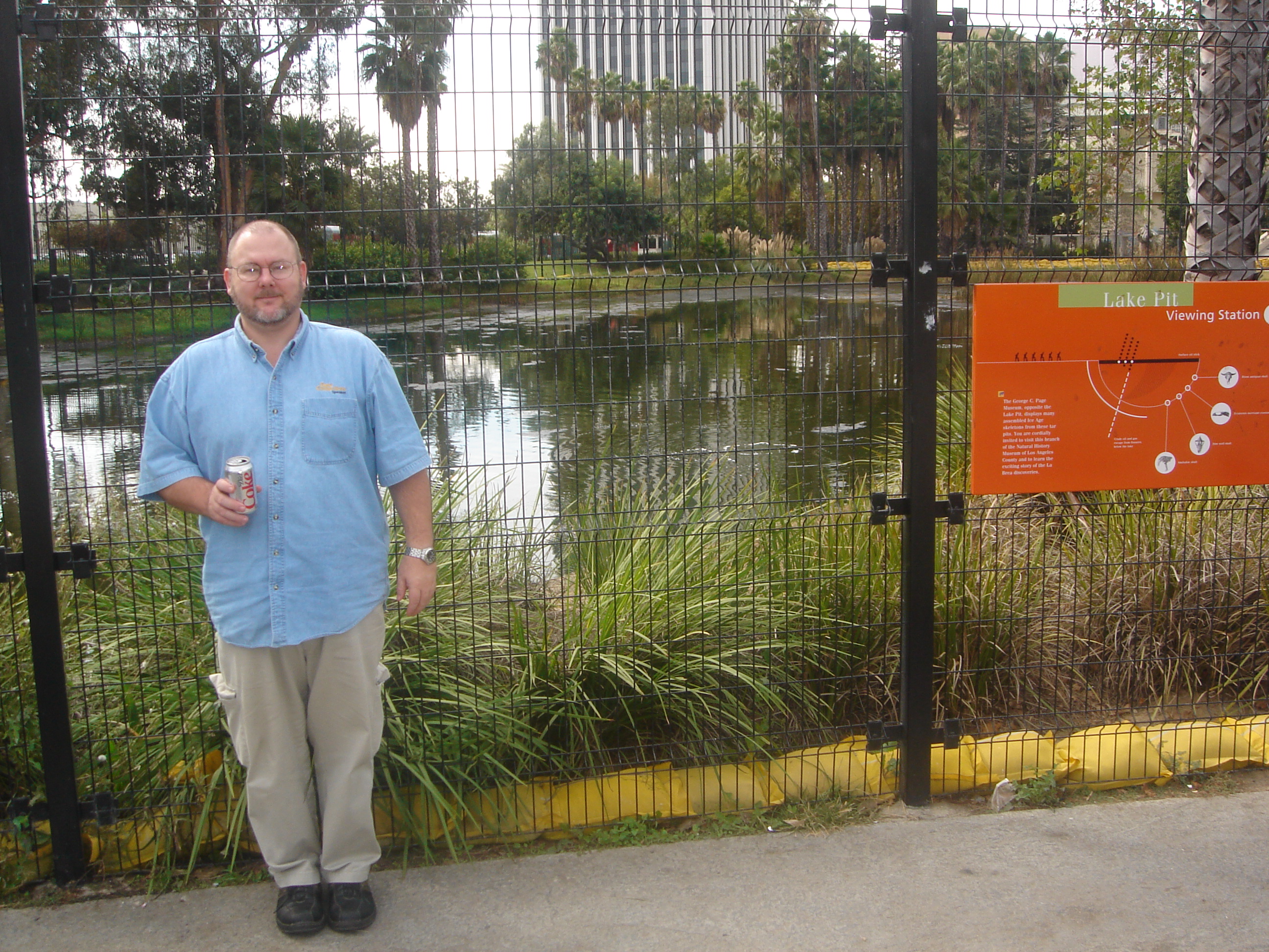 The Tar Pits