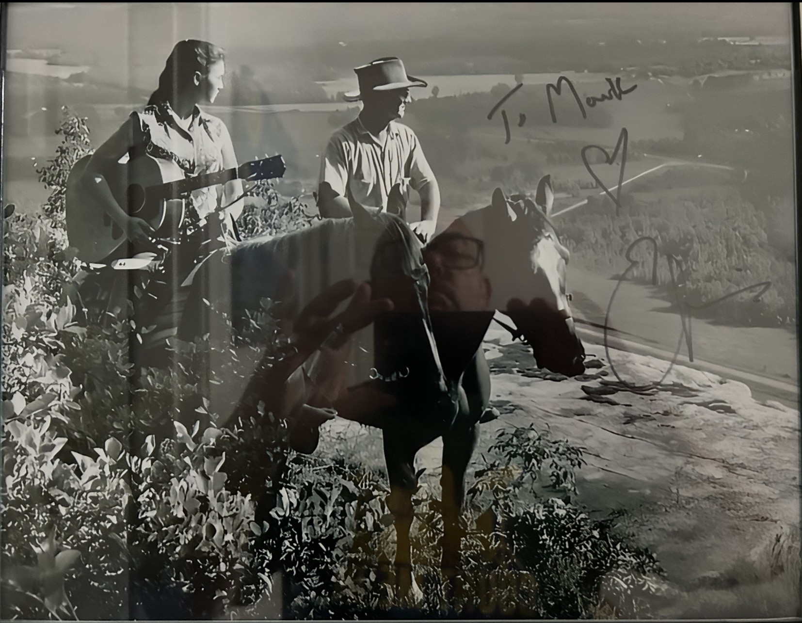 Emmylou Harris with horses